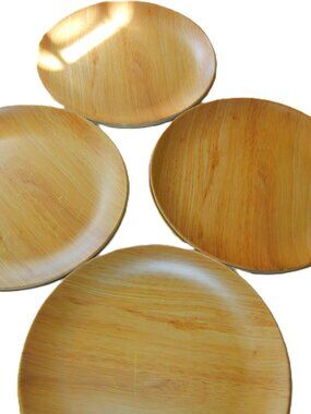 Set of 4  Tommy Bahama  100% Melamine Dinner Plates